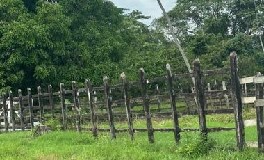 finca en venta en mahates. Cod V93667