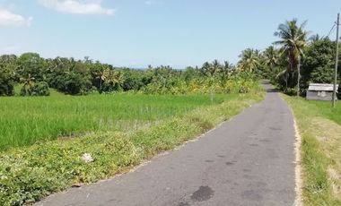 land for sale rice field and sea view near Balian Beach Bali