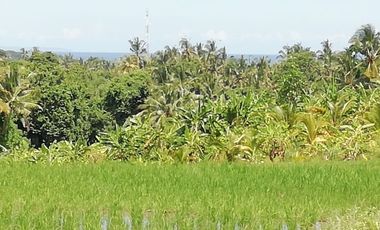 land for sale rice field and sea view near Balian Beach Bali