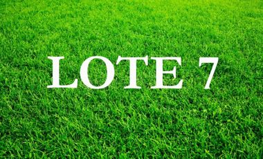 Venta terreno lote Merlo Libertad