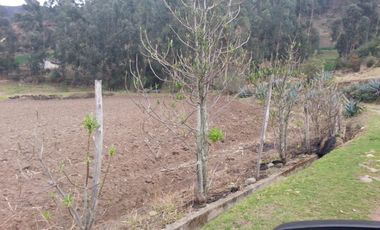 VENTA- HACIENDA DE VENTA EN MUISNE URBEC / 21URB084