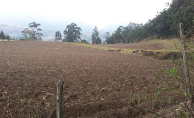 VENTA- HACIENDA DE VENTA EN MUISNE URBEC / 21URB084