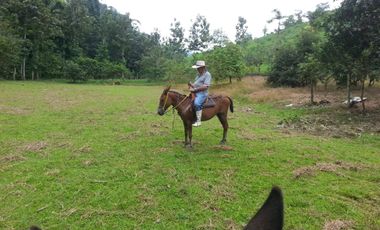 VENTA- HACIENDA DE VENTA EN MUISNE URBEC / 21URB084