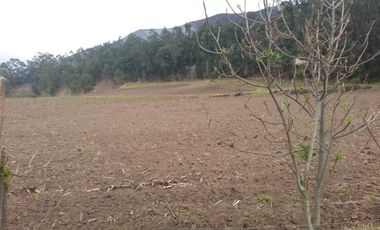 VENTA- HACIENDA DE VENTA EN MUISNE URBEC / 21URB084