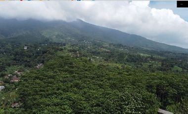 MP122 Dijual Tanah Untuk Villa lokasi Cigombong Bogor || LT : 2000 M2