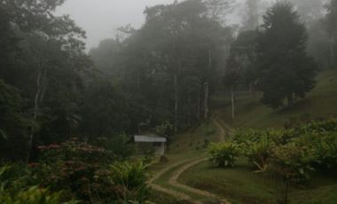 finca en venta en dapa. Cod V12615