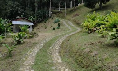 finca en venta en dapa. Cod V12615