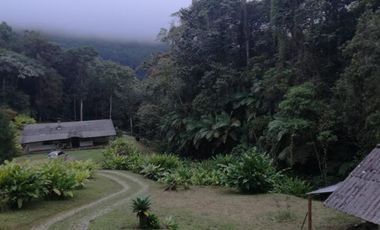 finca en venta en dapa. Cod V12615