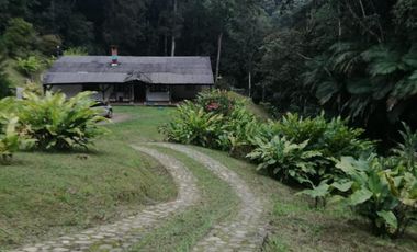 finca en venta en dapa. Cod V12615