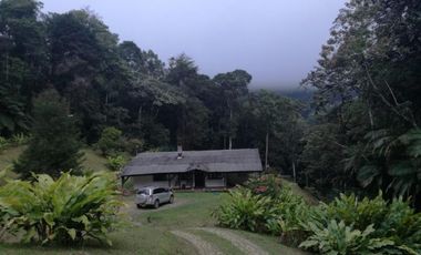 finca en venta en dapa. Cod V12615