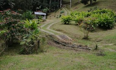 finca en venta en dapa. Cod V12615