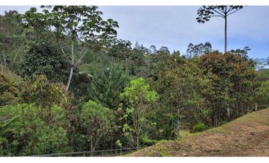 Venta de Lote En Unidad Cerrada Juanito Laguna El Retiro