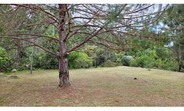 Venta de Lote En Unidad Cerrada Juanito Laguna El Retiro