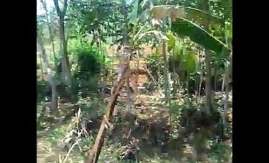 Jual Tanah Perumahan 25 Ha Di Cililin Kota Bandung Barat