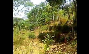 Jual Tanah Perumahan 25 Ha Di Cililin Kota Bandung Barat