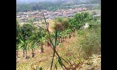 Jual Tanah Perumahan 25 Ha Di Cililin Kota Bandung Barat