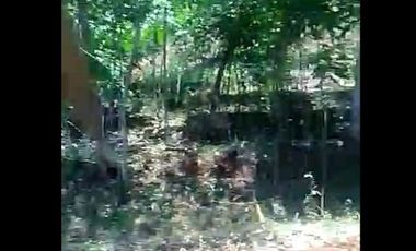 Jual Tanah Perumahan 25 Ha Di Cililin Kota Bandung Barat
