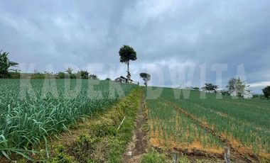 Tanah kebun hawa sejuk candi kuning bedugul baturiti tabanan