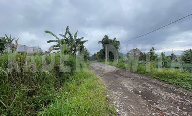 Tanah kebun hawa sejuk candi kuning bedugul baturiti tabanan
