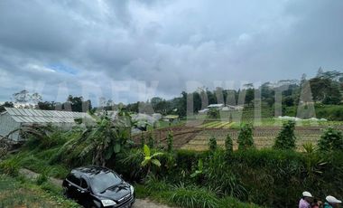 Tanah kebun hawa sejuk candi kuning bedugul baturiti tabanan