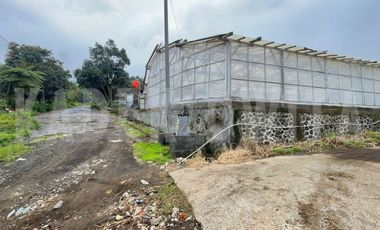 Tanah kebun hawa sejuk candi kuning bedugul baturiti tabanan