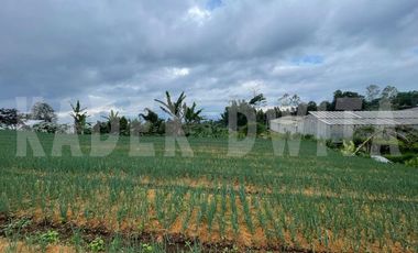 Tanah kebun hawa sejuk candi kuning bedugul baturiti tabanan