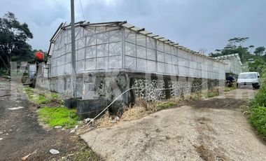 Tanah kebun hawa sejuk candi kuning bedugul baturiti tabanan
