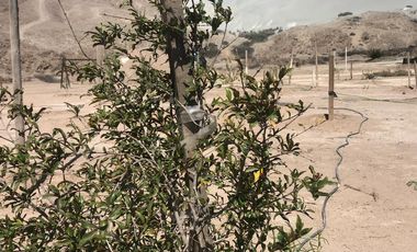 Casa y Parcela en Copiapó
