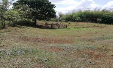 LOTE EN VENTA SECTOR CERRITOS/PEREIRA