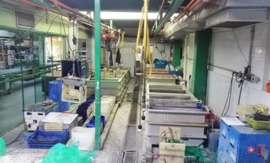 Bodega En Venta En Oblatos