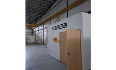 ISC - GALERA ZONA INDUSTRIAL - MILLA 8 (1250 M2) - PH