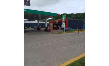 ISC - GALERA ZONA INDUSTRIAL - MILLA 8 (1250 M2) - PH