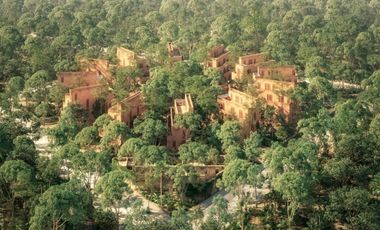 Villas en Jungla de Tulum.