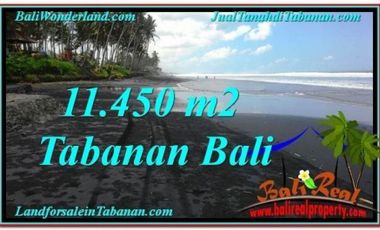 11.450 m2 View Laut, Gunung sawah Rp 3,4 jt/m di Tabanan