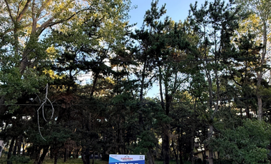 Lotes contiguos en venta en Costa del Este