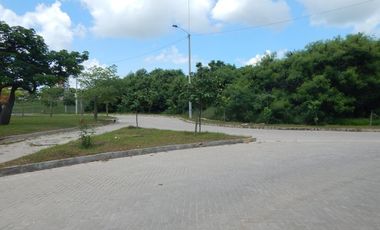 lote en arriendo/venta en portal de genoves. Cod V63907