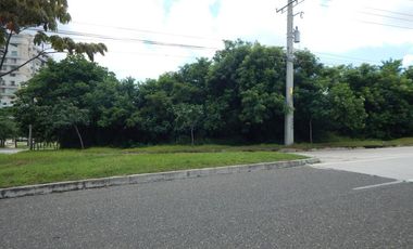 lote en arriendo/venta en portal de genoves. Cod V63907