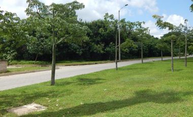 lote en arriendo/venta en portal de genoves. Cod V63907