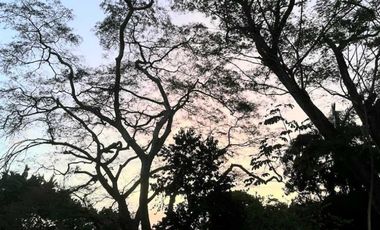CASA EN BALBOA ANCÓN CIUDAD DE PANAM PRECIO POR DEBAJO DEL AVALUO