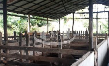 CASA EN VENTA CASERIO AGUAS VIVAS | 5022