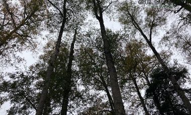 Casa en Venta en Increíble Lodge en terreno de 27 hás