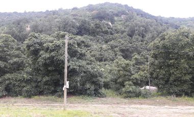 Sitio en Venta en Lo Curro bajo El Canal