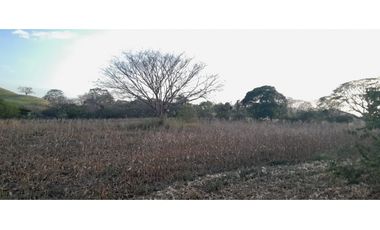 VENTA DE TERRENO EN HERRERA - 19 HEC