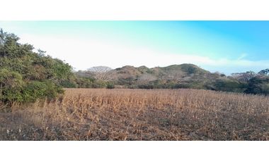 VENTA DE TERRENO EN HERRERA - 19 HEC