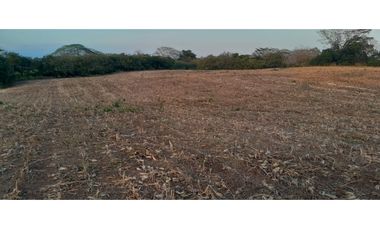 VENTA DE TERRENO EN HERRERA - 19 HEC