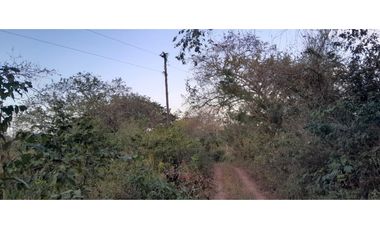 VENTA DE TERRENO EN HERRERA - 19 HEC
