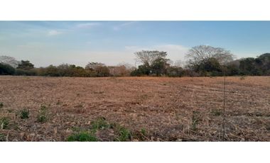 VENTA DE TERRENO EN HERRERA - 19 HEC