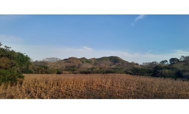VENTA DE TERRENO EN HERRERA - 19 HEC