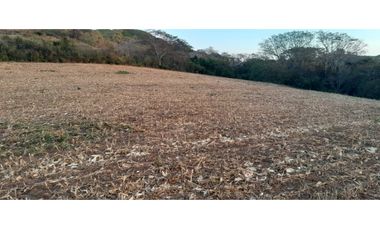 VENTA DE TERRENO EN HERRERA - 19 HEC