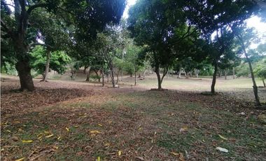 Se vende Terreno de 12000 mts2 en Villa Rosario Capira